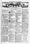 Blandford and Wimborne Telegram Friday 26 December 1879 Page 1