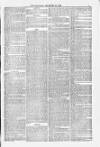 Blandford and Wimborne Telegram Friday 26 December 1879 Page 5