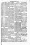 Blandford and Wimborne Telegram Friday 02 January 1880 Page 7