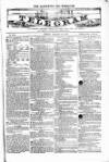 Blandford and Wimborne Telegram Friday 16 January 1880 Page 1