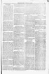Blandford and Wimborne Telegram Friday 16 January 1880 Page 3