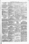 Blandford and Wimborne Telegram Friday 16 January 1880 Page 11