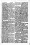 Blandford and Wimborne Telegram Friday 23 January 1880 Page 3