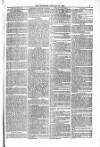 Blandford and Wimborne Telegram Friday 23 January 1880 Page 5