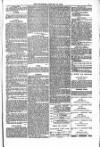 Blandford and Wimborne Telegram Friday 23 January 1880 Page 7