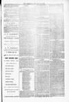 Blandford and Wimborne Telegram Friday 30 January 1880 Page 3