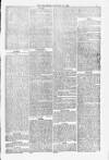 Blandford and Wimborne Telegram Friday 30 January 1880 Page 5