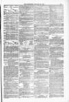 Blandford and Wimborne Telegram Friday 30 January 1880 Page 11