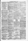 Blandford and Wimborne Telegram Friday 06 February 1880 Page 11