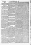 Blandford and Wimborne Telegram Friday 06 February 1880 Page 13