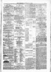 Blandford and Wimborne Telegram Friday 13 February 1880 Page 9
