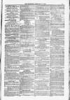 Blandford and Wimborne Telegram Friday 13 February 1880 Page 11