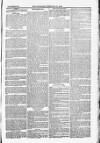 Blandford and Wimborne Telegram Friday 13 February 1880 Page 13