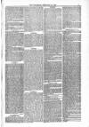 Blandford and Wimborne Telegram Friday 20 February 1880 Page 5
