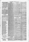 Blandford and Wimborne Telegram Friday 20 February 1880 Page 9