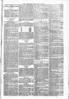 Blandford and Wimborne Telegram Friday 27 February 1880 Page 3