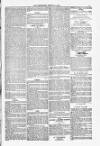 Blandford and Wimborne Telegram Friday 05 March 1880 Page 7