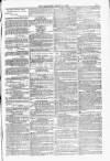 Blandford and Wimborne Telegram Friday 12 March 1880 Page 11