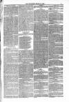 Blandford and Wimborne Telegram Friday 19 March 1880 Page 5