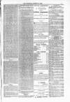 Blandford and Wimborne Telegram Friday 19 March 1880 Page 7