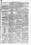 Blandford and Wimborne Telegram Friday 19 March 1880 Page 11
