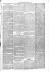 Blandford and Wimborne Telegram Friday 26 March 1880 Page 5