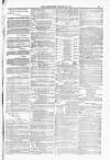 Blandford and Wimborne Telegram Friday 26 March 1880 Page 11