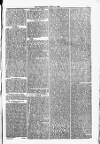 Blandford and Wimborne Telegram Friday 02 April 1880 Page 3