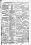 Blandford and Wimborne Telegram Friday 02 April 1880 Page 11