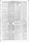 Blandford and Wimborne Telegram Friday 02 April 1880 Page 13