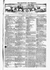 Blandford and Wimborne Telegram Friday 09 April 1880 Page 1