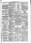 Blandford and Wimborne Telegram Friday 09 April 1880 Page 11