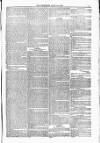 Blandford and Wimborne Telegram Friday 23 April 1880 Page 5