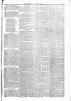 Blandford and Wimborne Telegram Friday 23 April 1880 Page 9