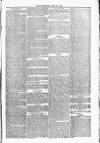 Blandford and Wimborne Telegram Friday 30 April 1880 Page 5