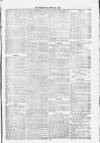 Blandford and Wimborne Telegram Friday 30 April 1880 Page 7