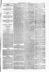 Blandford and Wimborne Telegram Friday 07 May 1880 Page 3