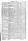 Blandford and Wimborne Telegram Friday 07 May 1880 Page 5