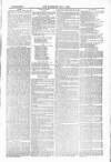 Blandford and Wimborne Telegram Friday 07 May 1880 Page 13