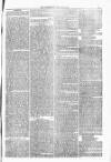 Blandford and Wimborne Telegram Friday 21 May 1880 Page 3