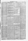 Blandford and Wimborne Telegram Friday 21 May 1880 Page 5