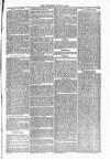 Blandford and Wimborne Telegram Friday 11 June 1880 Page 5