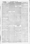 Blandford and Wimborne Telegram Friday 11 June 1880 Page 13