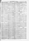 Blandford and Wimborne Telegram Friday 18 June 1880 Page 7