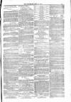 Blandford and Wimborne Telegram Friday 18 June 1880 Page 11