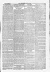 Blandford and Wimborne Telegram Friday 18 June 1880 Page 13