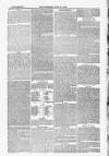 Blandford and Wimborne Telegram Friday 25 June 1880 Page 13