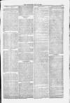 Blandford and Wimborne Telegram Friday 16 July 1880 Page 5