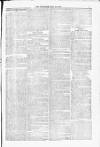 Blandford and Wimborne Telegram Friday 16 July 1880 Page 7