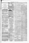 Blandford and Wimborne Telegram Friday 16 July 1880 Page 9